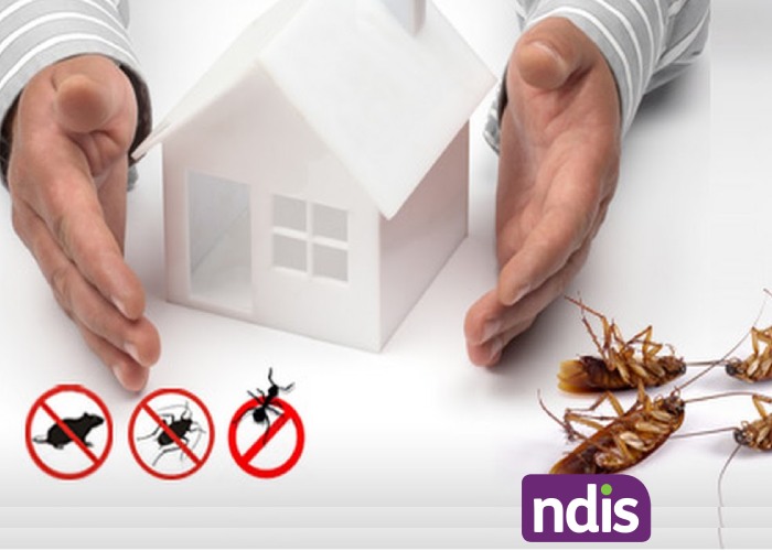 NDIS Pest Control Service