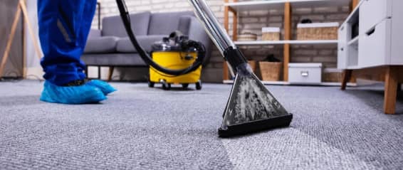 How Often Should You Have Your Carpets Cleaned
