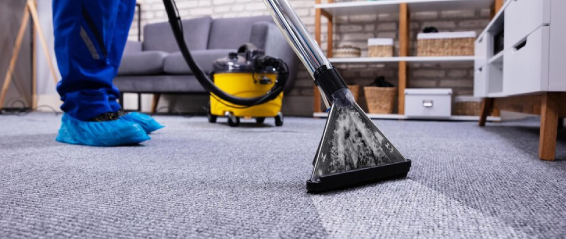 How Often Should You Have Your Carpets Cleaned