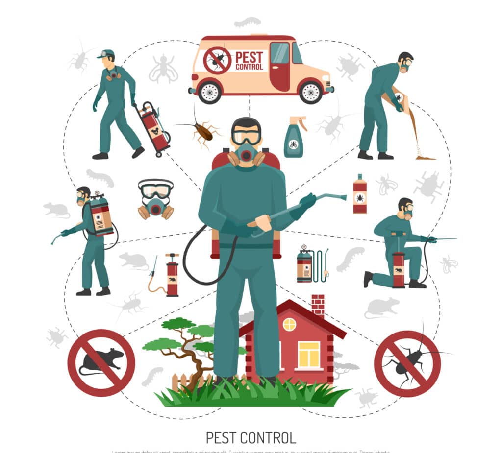 Professional pest control service