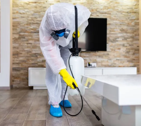pest control