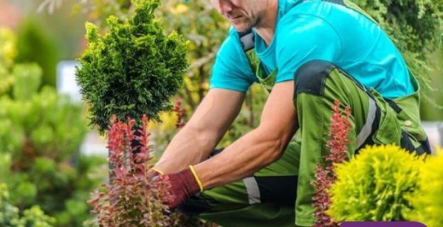 NDIS Garden Maintenance Melbourne